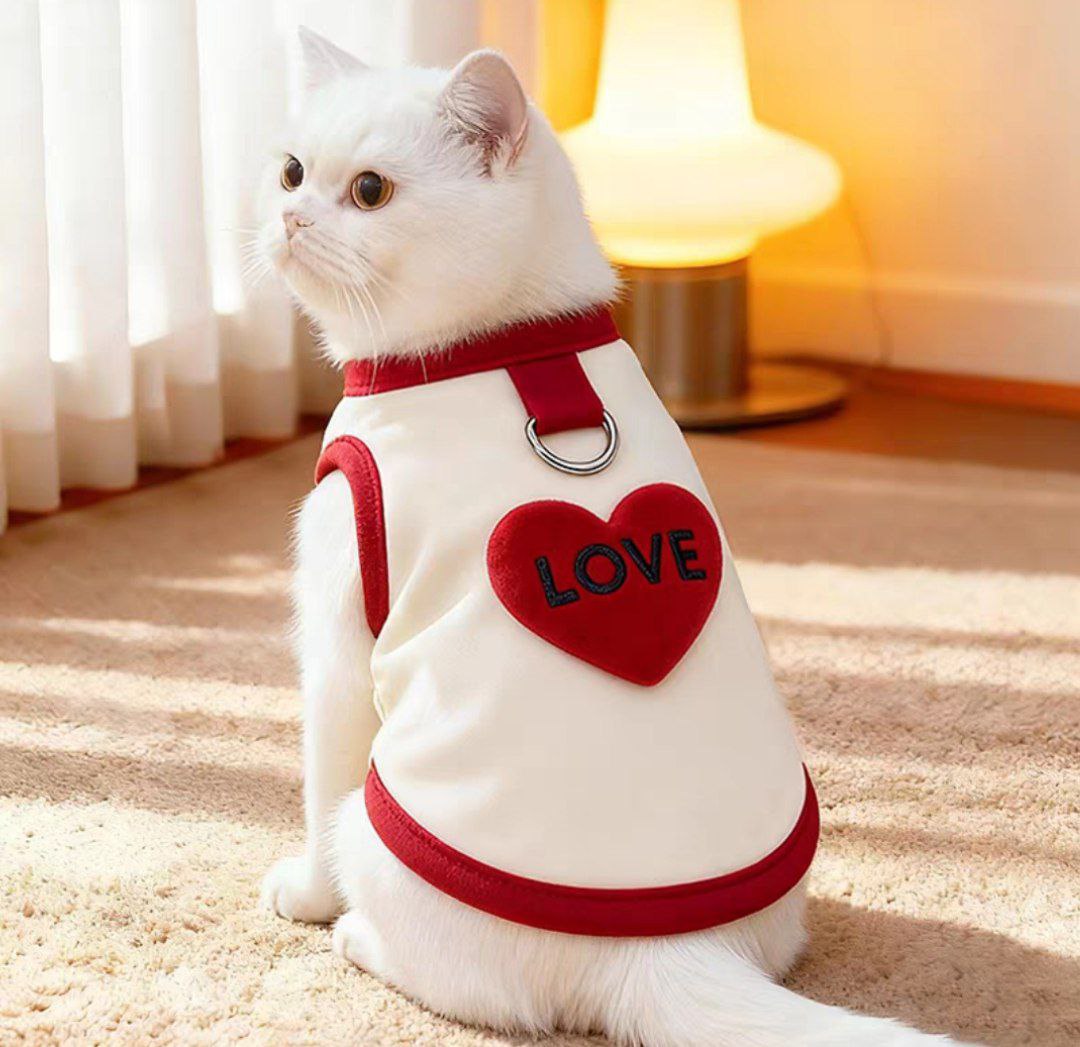 Одежда для домашних питомцев с доставкой из Китая в Россию