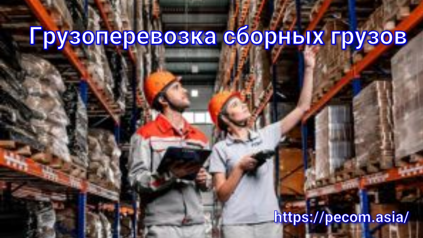 Закупка Электро товаров в Китае через Пэк китай Гуанчжоу